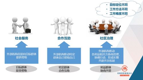 社區(qū)發(fā)展項目的設(shè)計原則與實踐經(jīng)驗