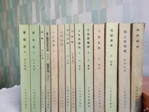 揭秘中國(guó)小說史料叢書 上海圖書、音像與軟件中的遺珠之珍